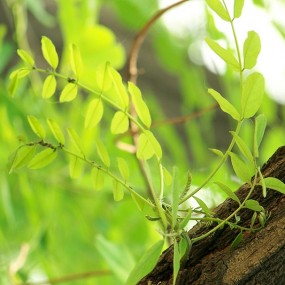 周日无好处去，环城公园乱拍！