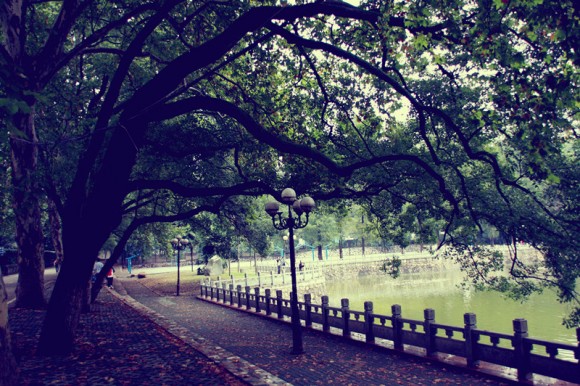 镜子乱拍 & 细雨中的武汉