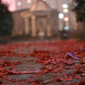 元宵节楼下的鞭炮