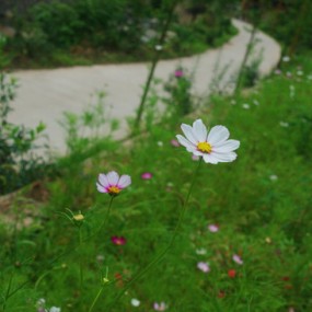 发几张7月劳峪拍的