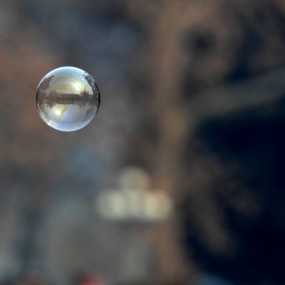 初春之鸟语花香