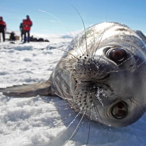 2012.01.04 - 01.10一周新闻图片精选