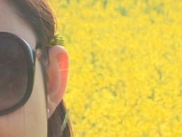 汉中油菜花拍摄遇到的问题