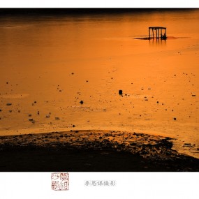 冬日灞河风景随拍