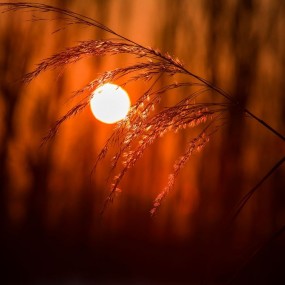 时光，竟然可以这么美。