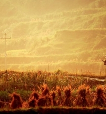 慢行慢摄黎平肇兴 生活已凝固