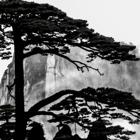 水墨样式的黄山风光