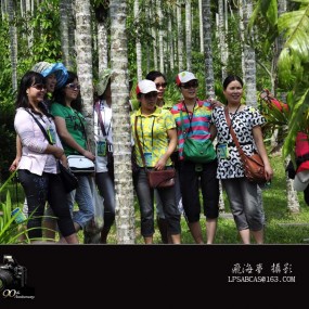 呀诺达雨林之旅