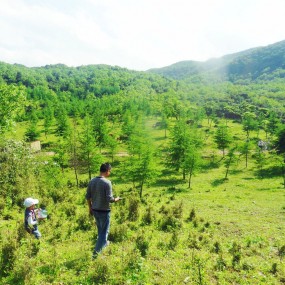 星子山朱家坪风景