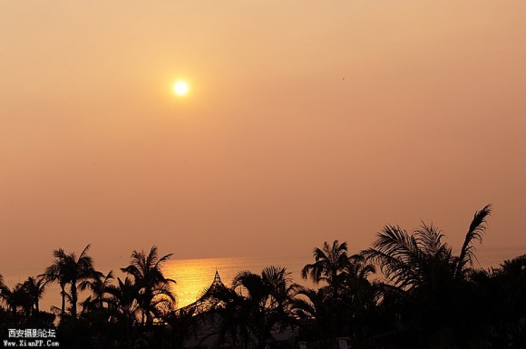 平沙夕阳