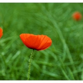 Michal Mierzejewski　风光摄影作品欣赏（二）