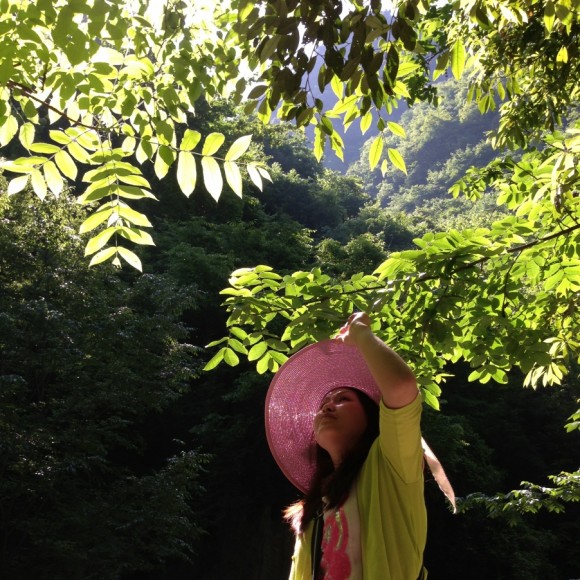 5月商洛金丝峡大峡谷