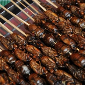 2012大唐西市庙会节六