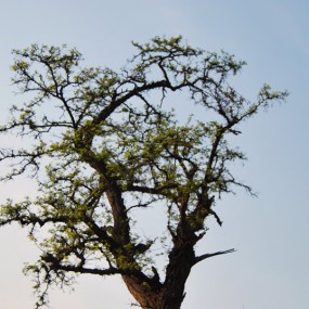 顺城北路随拍 2012/4/7