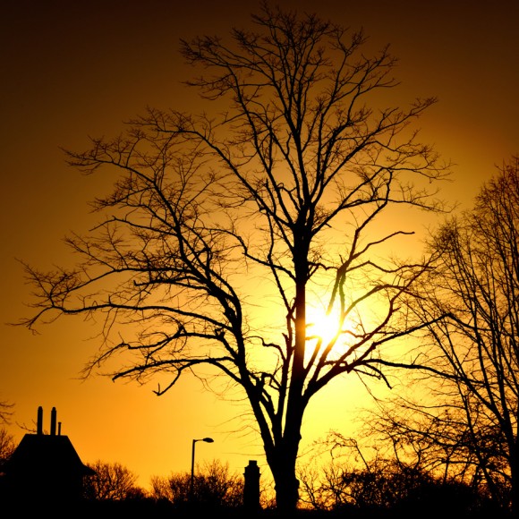 B'ham的几个早晨