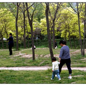 【随 拍】在 明 媚 的 春 光 里（ 2 ）