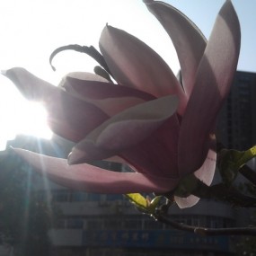 也发点2011拍的一些典型建筑