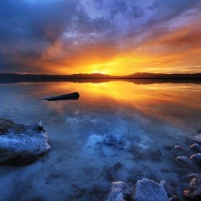 青海，迟来的春天盛装登场