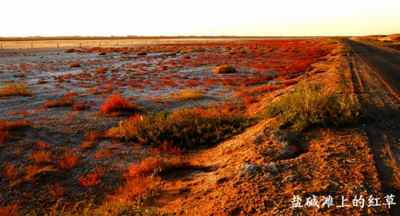 腾格里沙漠----月亮湖