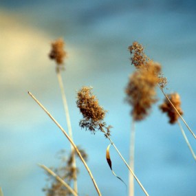 鞍山219公园随拍