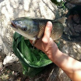 “美丽乡村快乐行”商南县观光体验活动启动