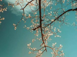 最美北京，把它做成手机壁纸，一用一年