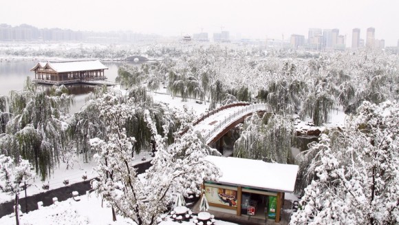 随拍的一些作品