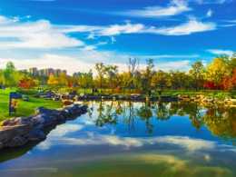 天光云影共徘徊