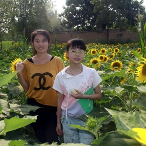 山行--中条山柏树岭