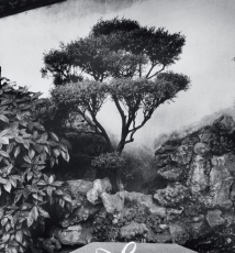 马克·吕布 黑白里有纯粹的真实