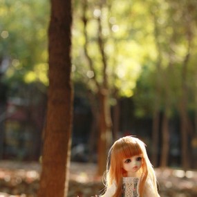 初秋的森林童话