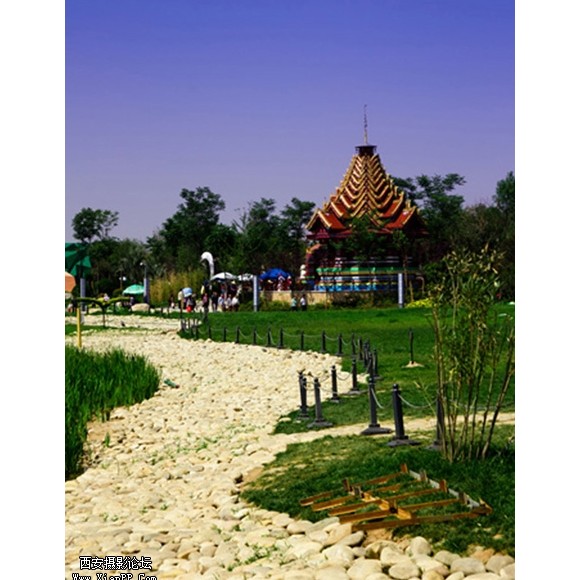 世园美景--第三季