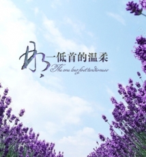 【低首的温柔】 品摄影梦工厂出品