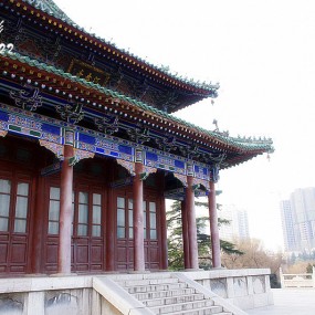 兴庆公园处练Ⅱ