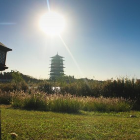 长安第九景——灞落余晖