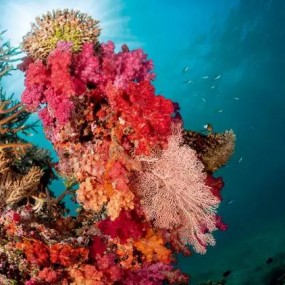 只有到了斐济，你才会发现天堂也不过如此