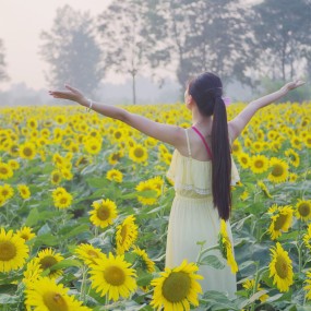 拥抱绽放的花与自然-比赛重在参与
