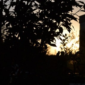 随便拍，求拍砖。