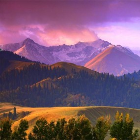 那拉提草原旭日