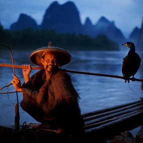 印象桂林（鱼鹰）