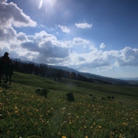 壮美新疆—那拉提草原