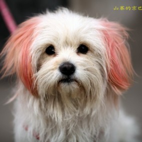 1220,出来打酱油时候拍的几张