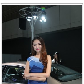 2014，西安第九届国际车展