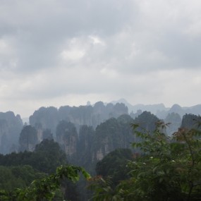 菜鸟张家界旅游随拍，请老师们指正