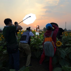 2013-8-14 葵花园拍摄花絮