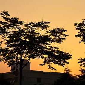 唐延路人像作业。万像更新2012.5.28