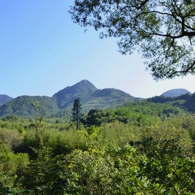 天水麦积山景色