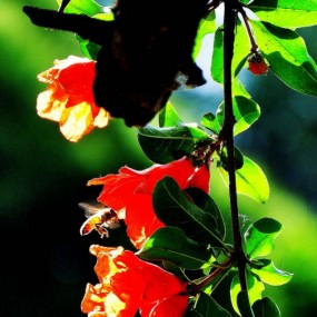 浐灞国家湿地公园