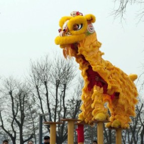 大明宫闹新春之舞狮表演