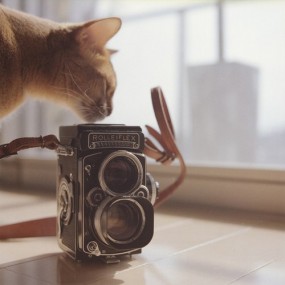 摄影 是寄给时间的信